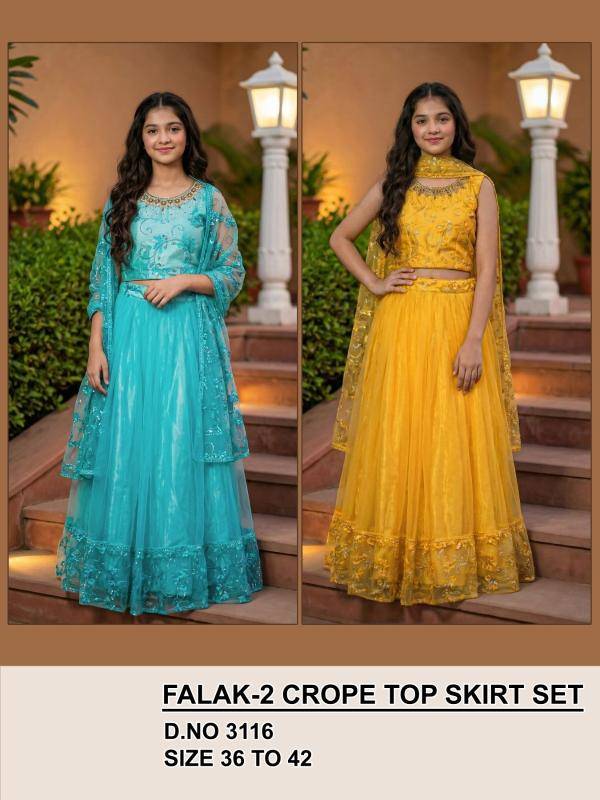 Falak 3116 Designer lehenga choli in Delhi